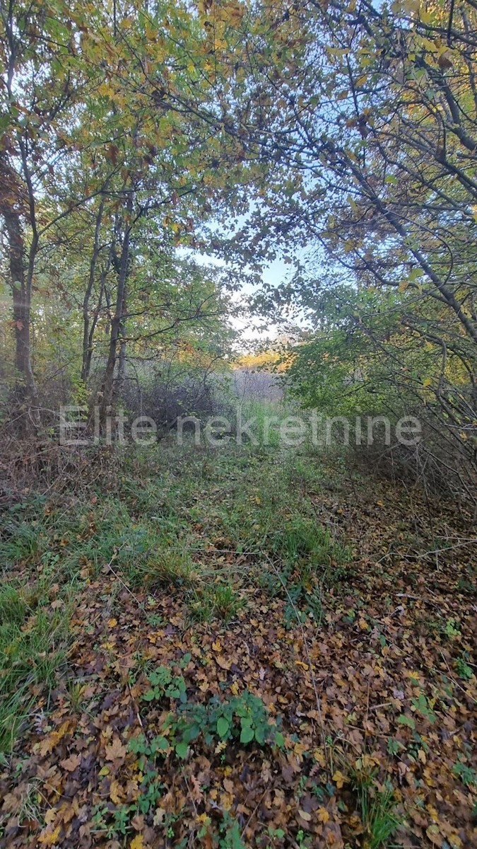 Land For sale - ISTARSKA  POREČ 