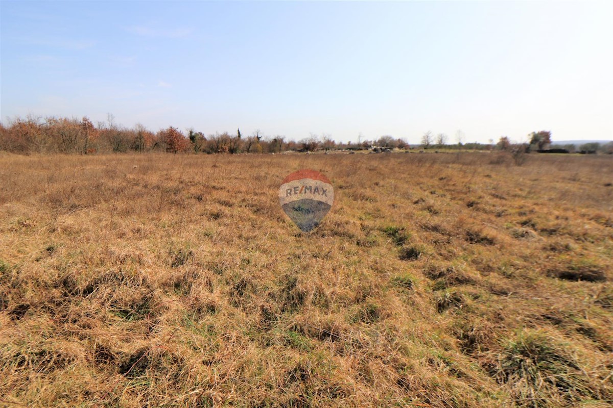 Land For sale KRMED