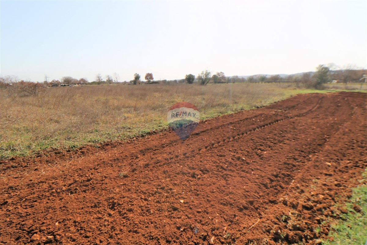 Terreno In vendita - ISTARSKA  BALE 