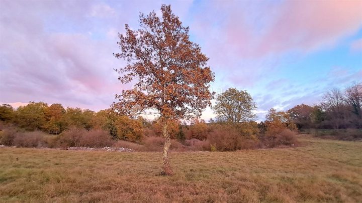 Działka Na sprzedaż - Istarska Tinjan - foto 2/5