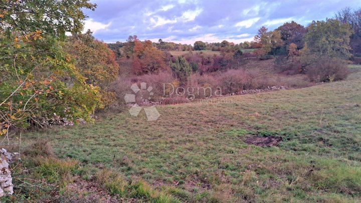 Działka Na sprzedaż - Istarska Tinjan - foto 5/5