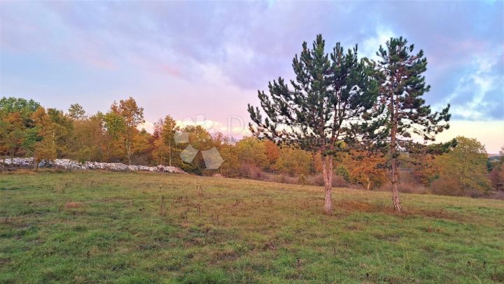 Terrain à vendre 3068 m² – Tinjan