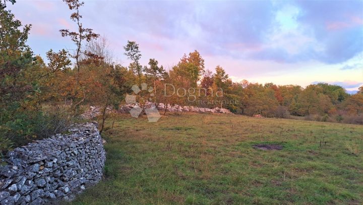 Grundstück Zu verkaufen - Istarska Tinjan - foto 3/6