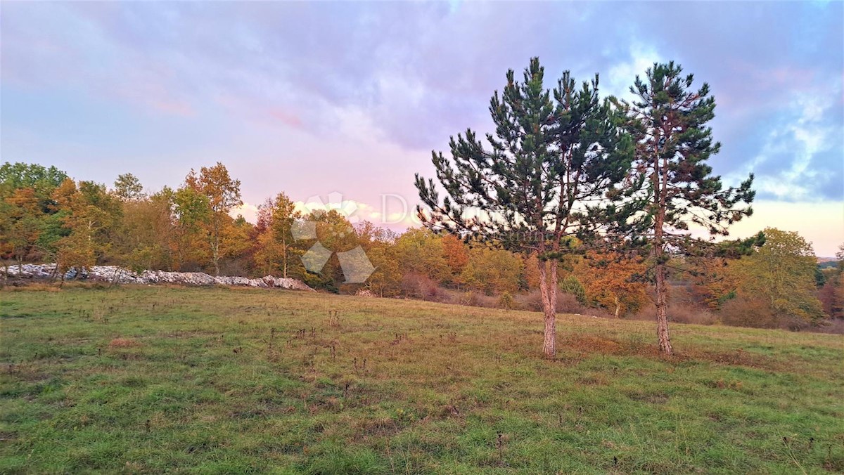Terreno In vendita