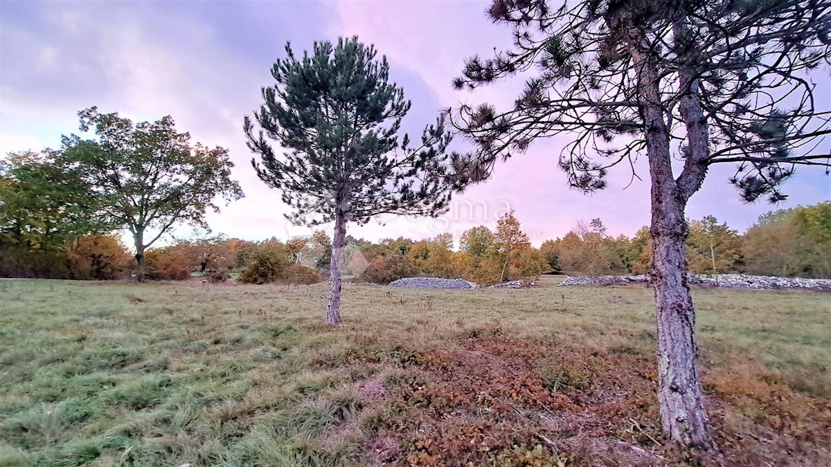Parcela Naprodaj - ISTARSKA  Tinjan