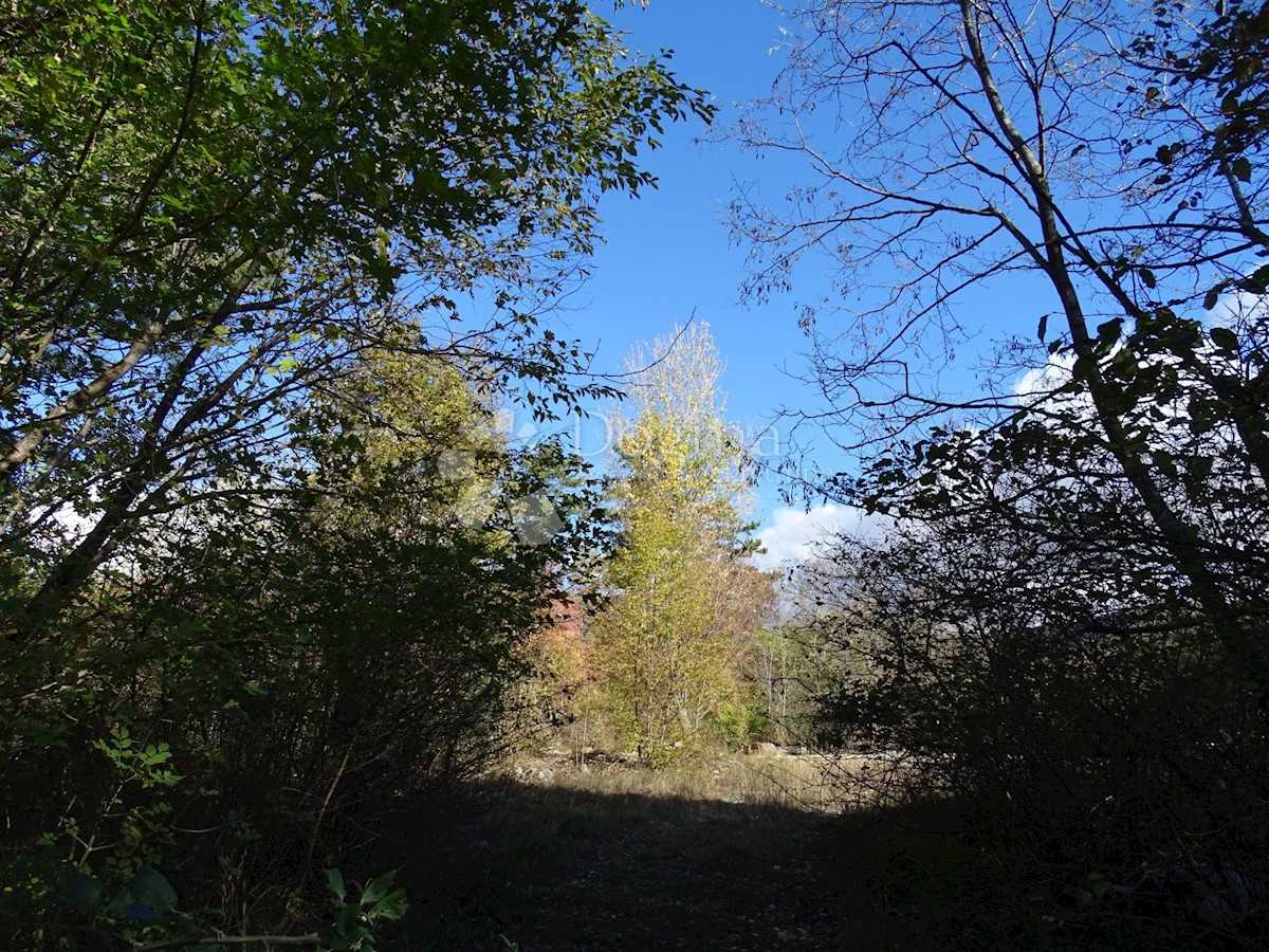 Terreno In vendita - ISTARSKA  LUPOGLAV 