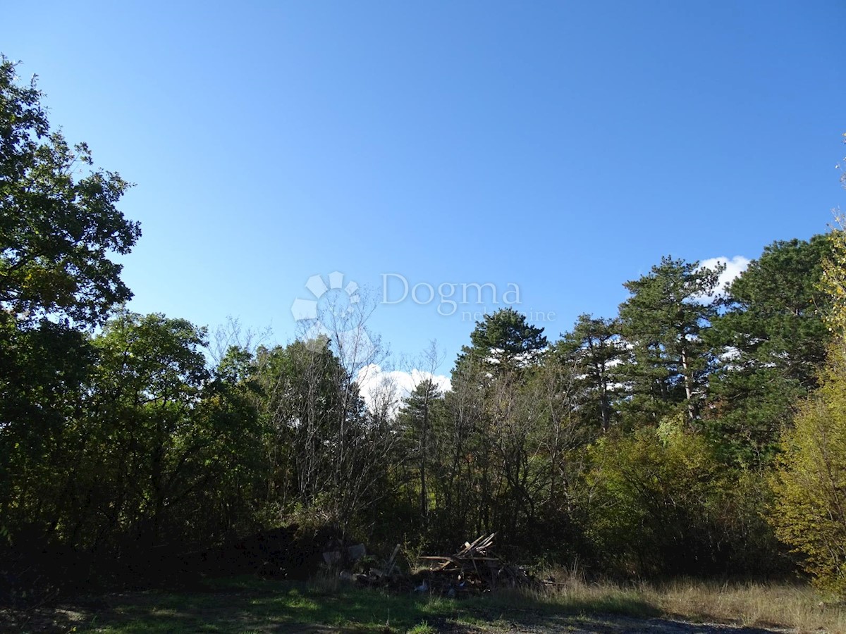 Land For sale - ISTARSKA  LUPOGLAV 