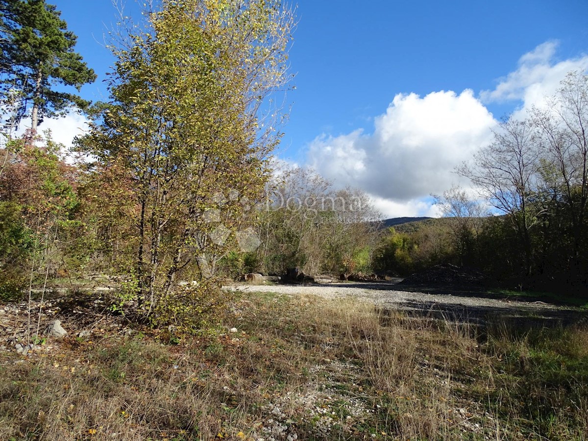 Land For sale - ISTARSKA  LUPOGLAV 