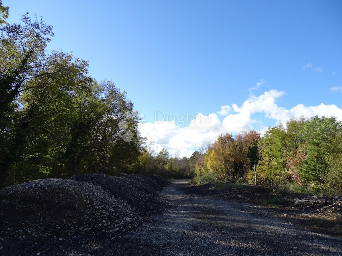 Terreno In vendita LUPOGLAV