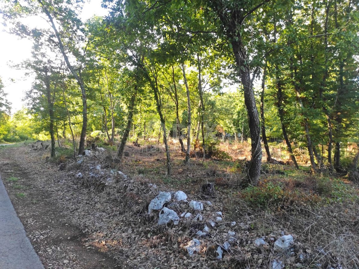 Działka Na sprzedaż - ISTARSKA  MOTOVUN 