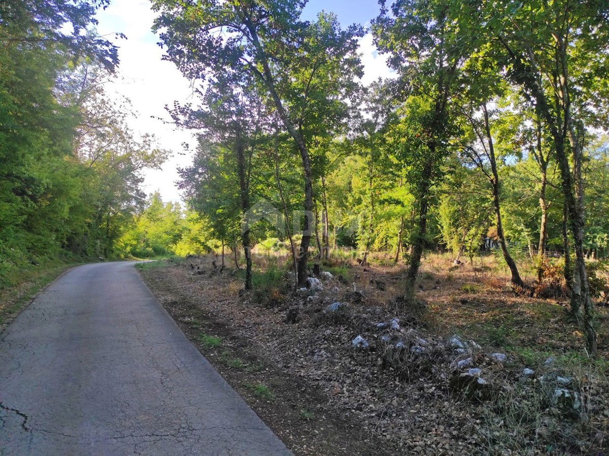 Działka Na sprzedaż - ISTARSKA  MOTOVUN 