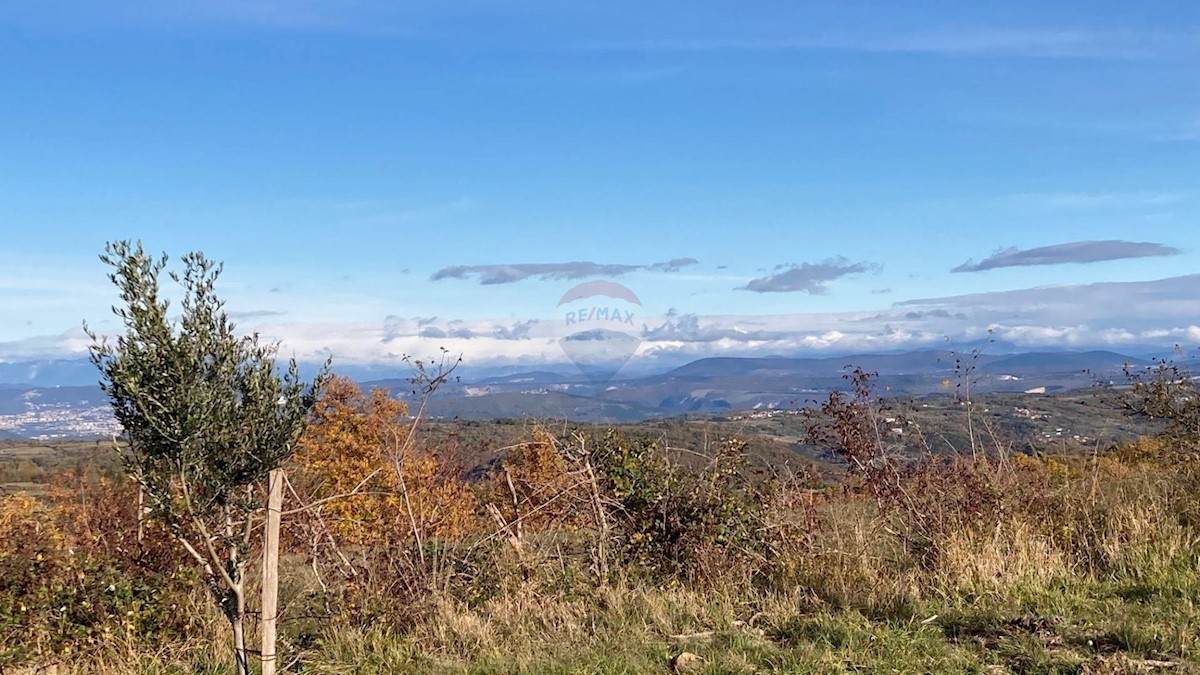 Terreno In vendita - ISTARSKA  BUJE 