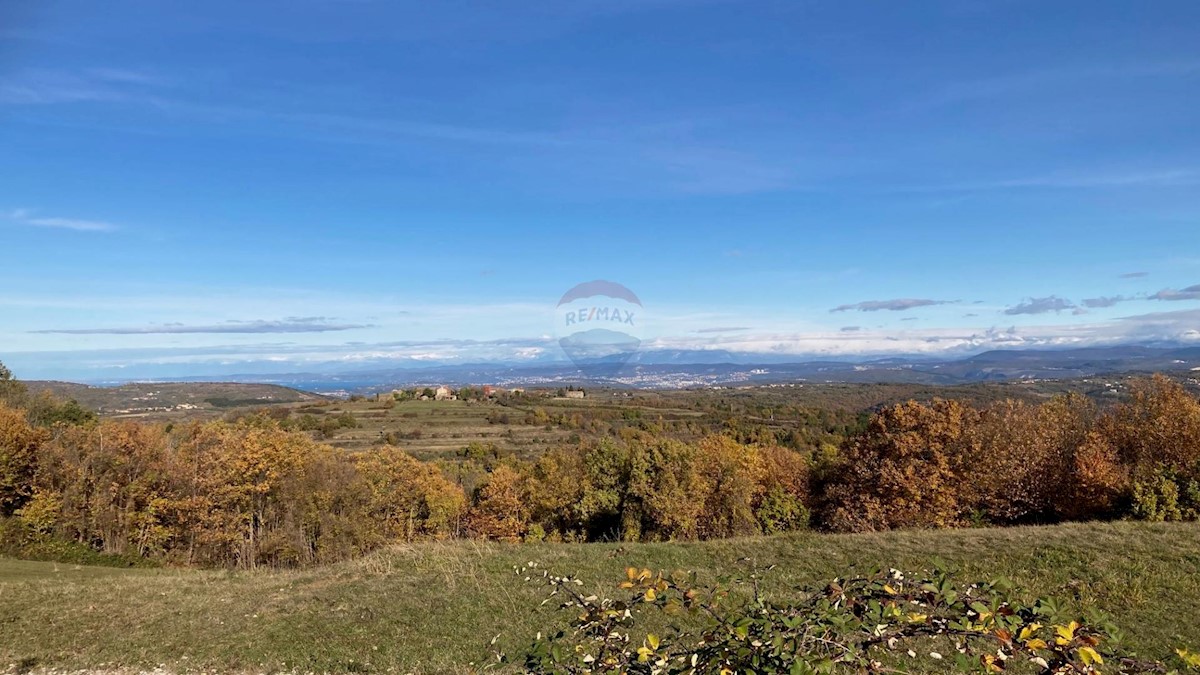 Land For sale - ISTARSKA  BUJE 