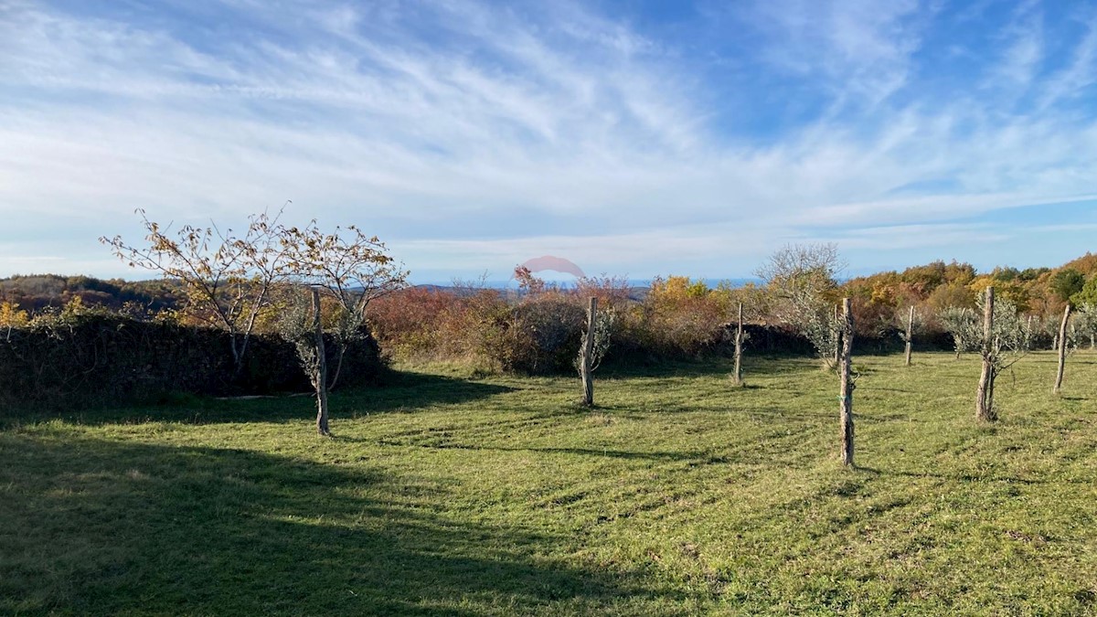 Terreno In vendita - ISTARSKA  BUJE 