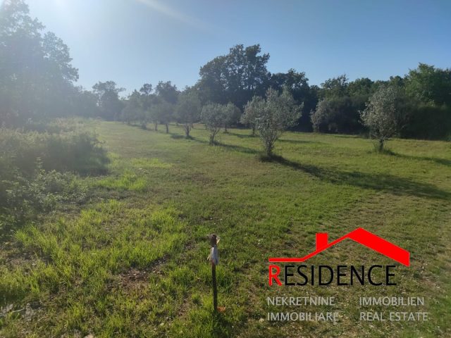 Terrain à vendre 596 m² – Peroj