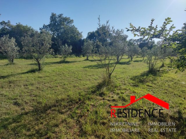 Terrain à vendre 583 m² – Peroj