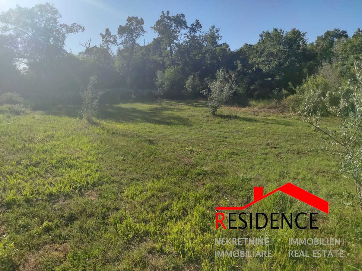 Terrain À vendre - Istarska Vodnjan - foto 1/6