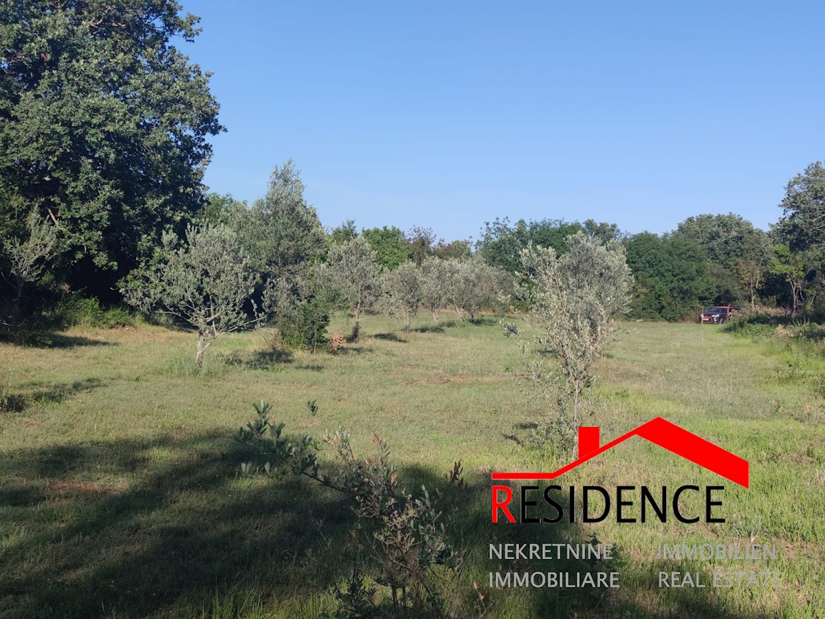 Terrain À vendre - Istarska Vodnjan - foto 2/6