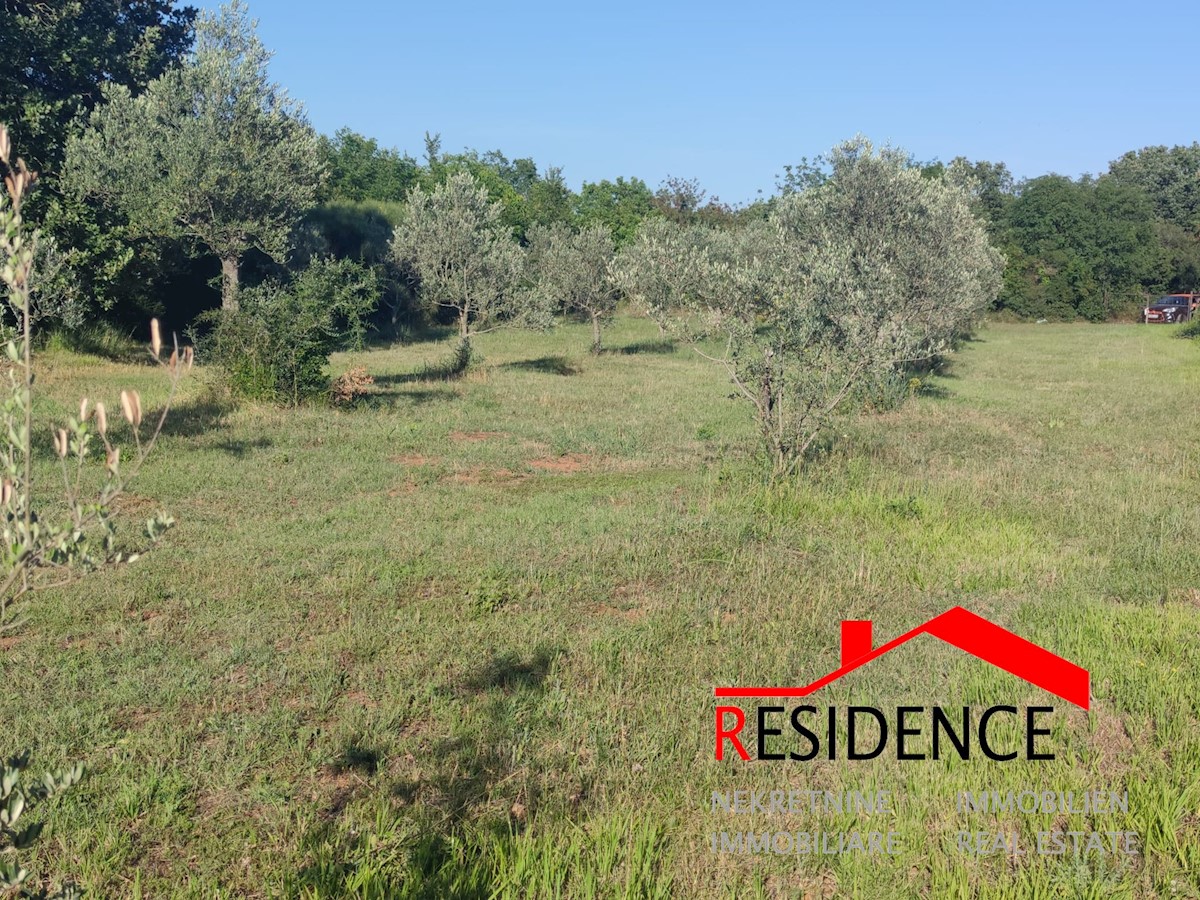 Terrain À vendre - Istarska Vodnjan - foto 3/6