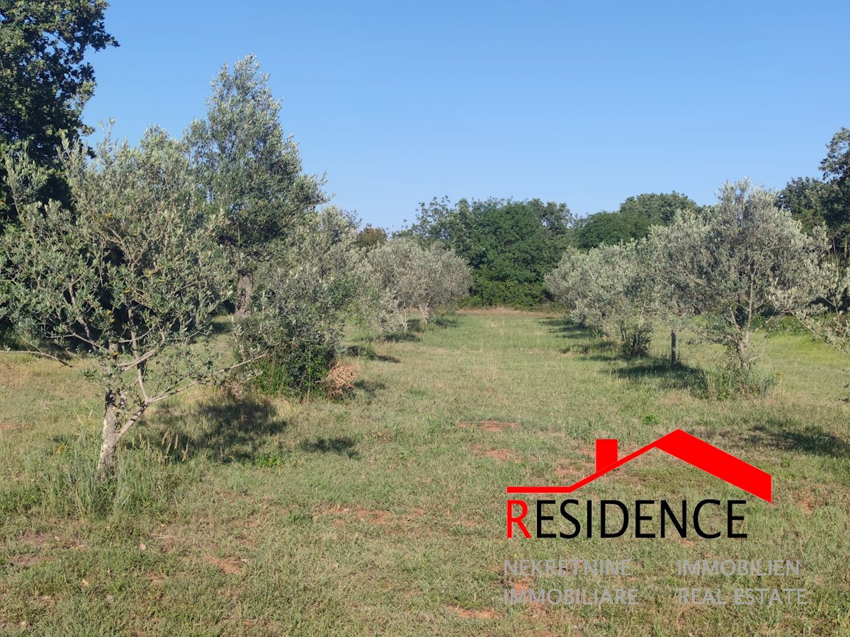 Terrain À vendre - Istarska Vodnjan - foto 4/6