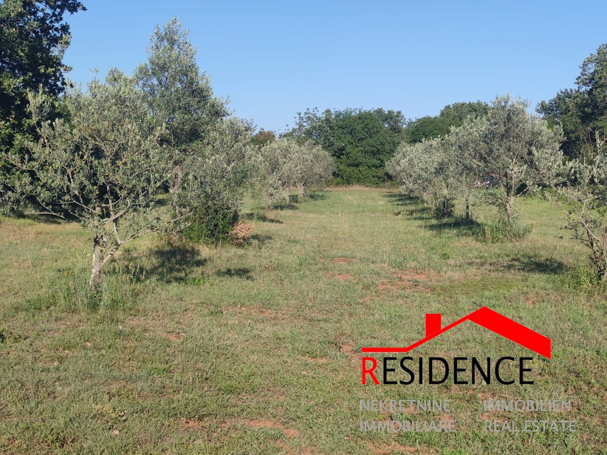 Terrain À vendre - Istarska Vodnjan - foto 5/6