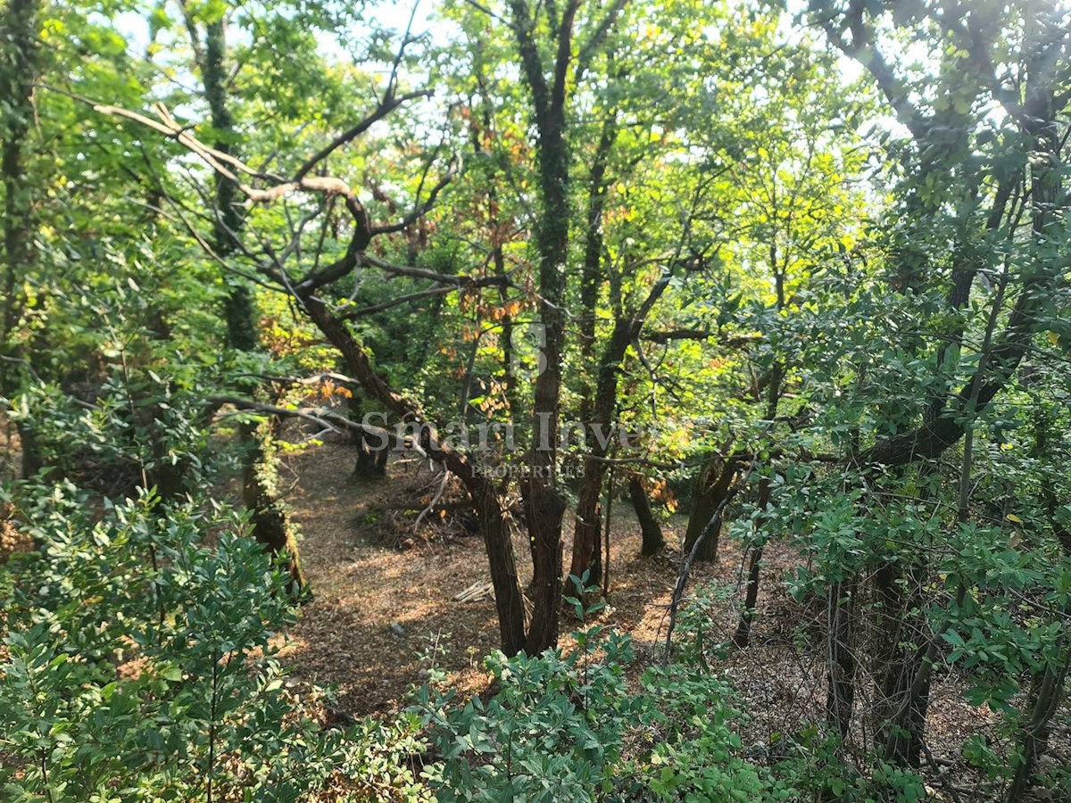 Land For sale - Primorsko-goranska Mošćenička Draga - foto 4/6