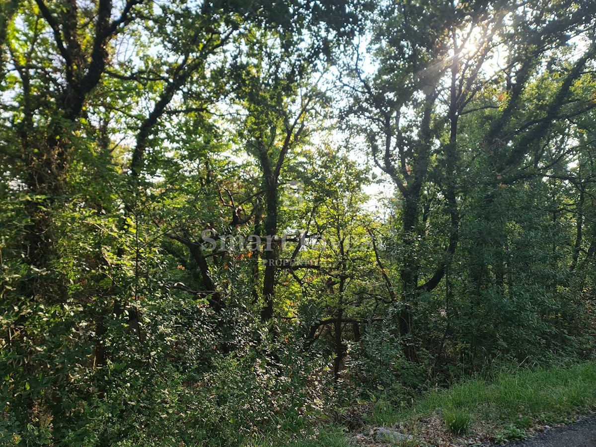 Land For sale - PRIMORSKO-GORANSKA  MOŠĆENIČKA DRAGA 
