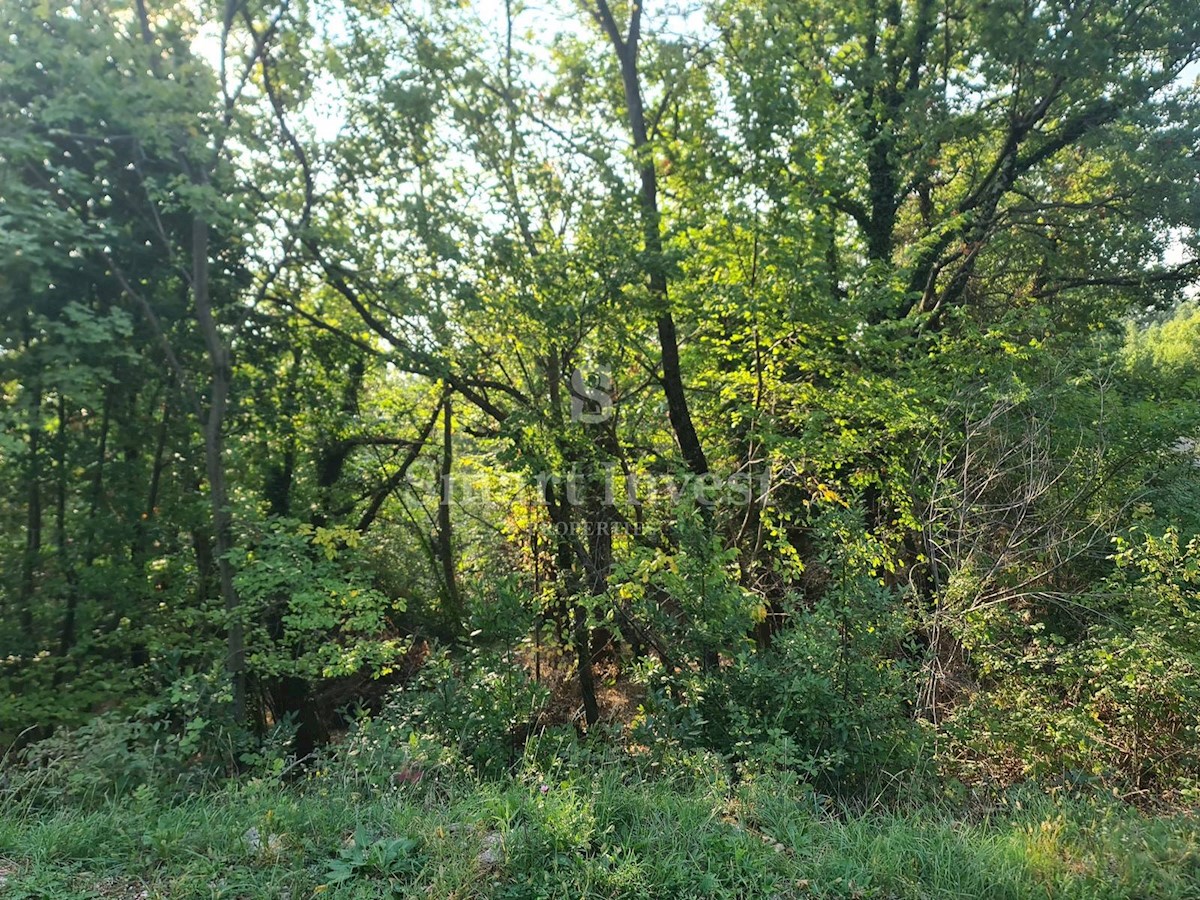 Parcela Naprodaj - PRIMORSKO-GORANSKA  Mošćenička Draga
