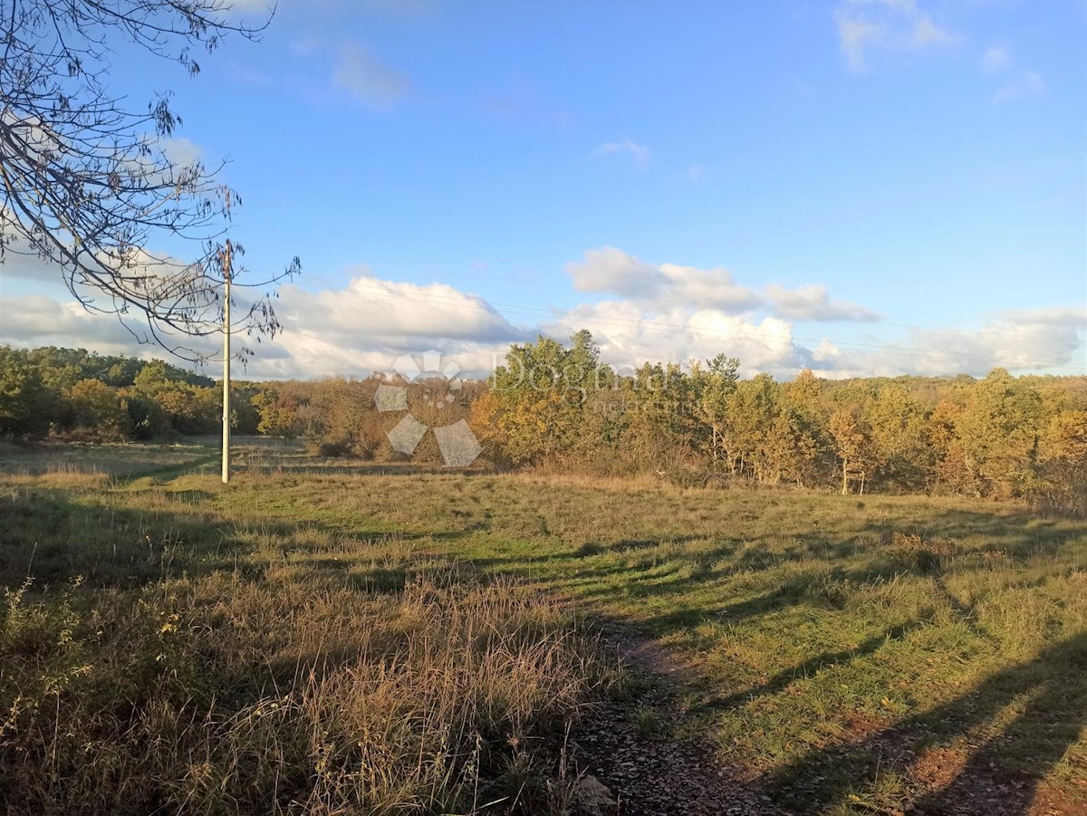 Pozemok Na predaj - ISTARSKA  TINJAN 