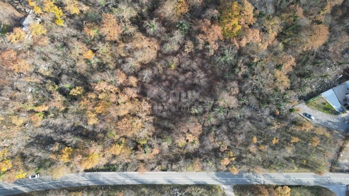 Pozemek na prodej 9500 m² – Permani