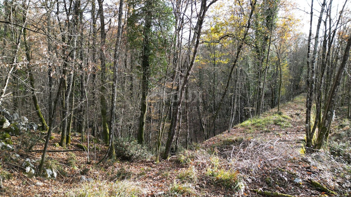 Terreno In vendita - PRIMORSKO-GORANSKA  MATULJI 