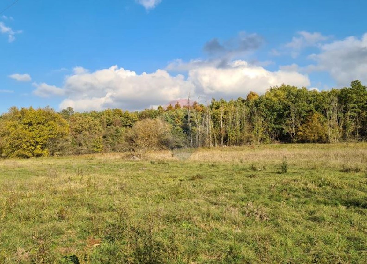 Terreno In vendita - Istarska Poreč - foto 1/8