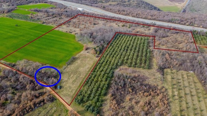 Pozemek na prodej 57374 m² – Kaštelir