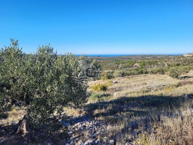 Terreno in vendita 14700 m² – Primošten