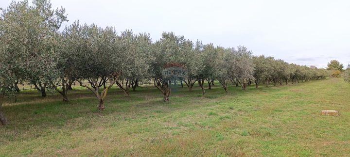 Grundstück zu verkaufen 6680 m² – Pula