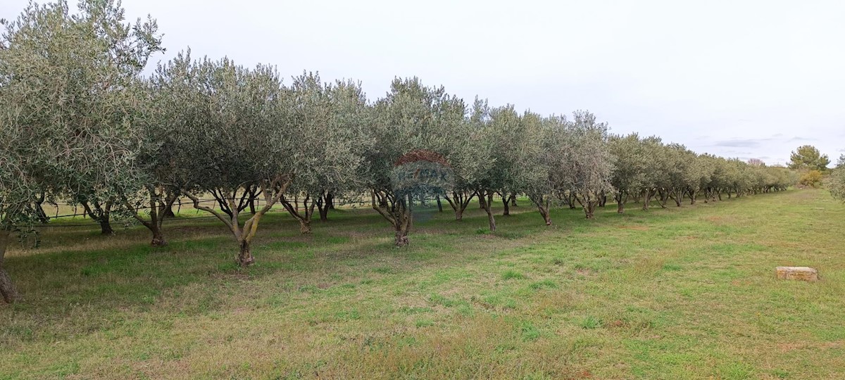 Land For sale - Istarska Pula - foto 1/6