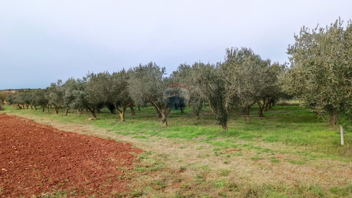 Land For sale - Istarska Pula - foto 2/6