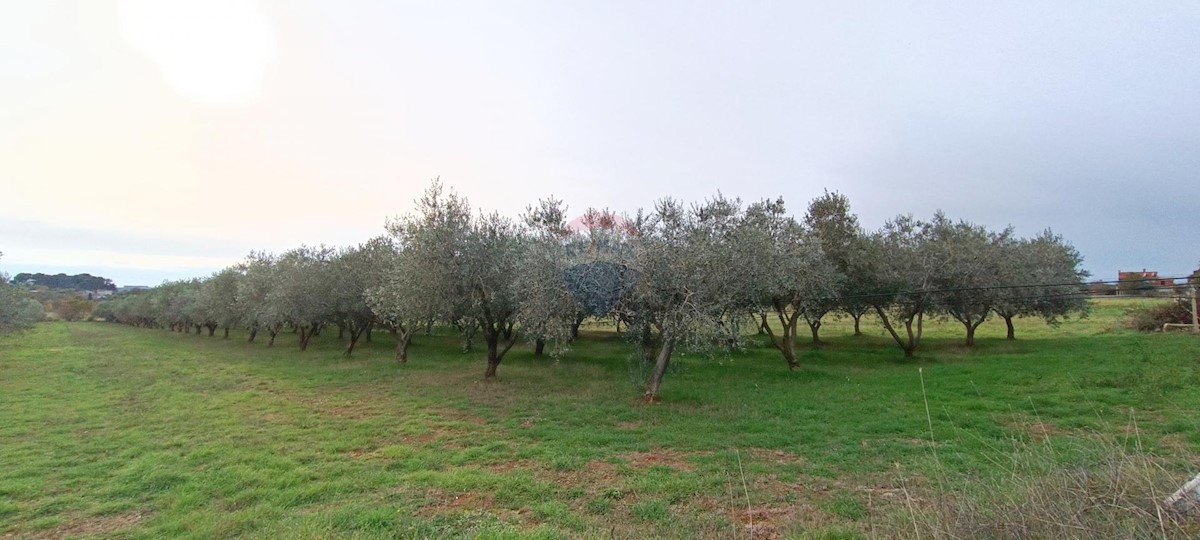 Land For sale - Istarska Pula - foto 3/6