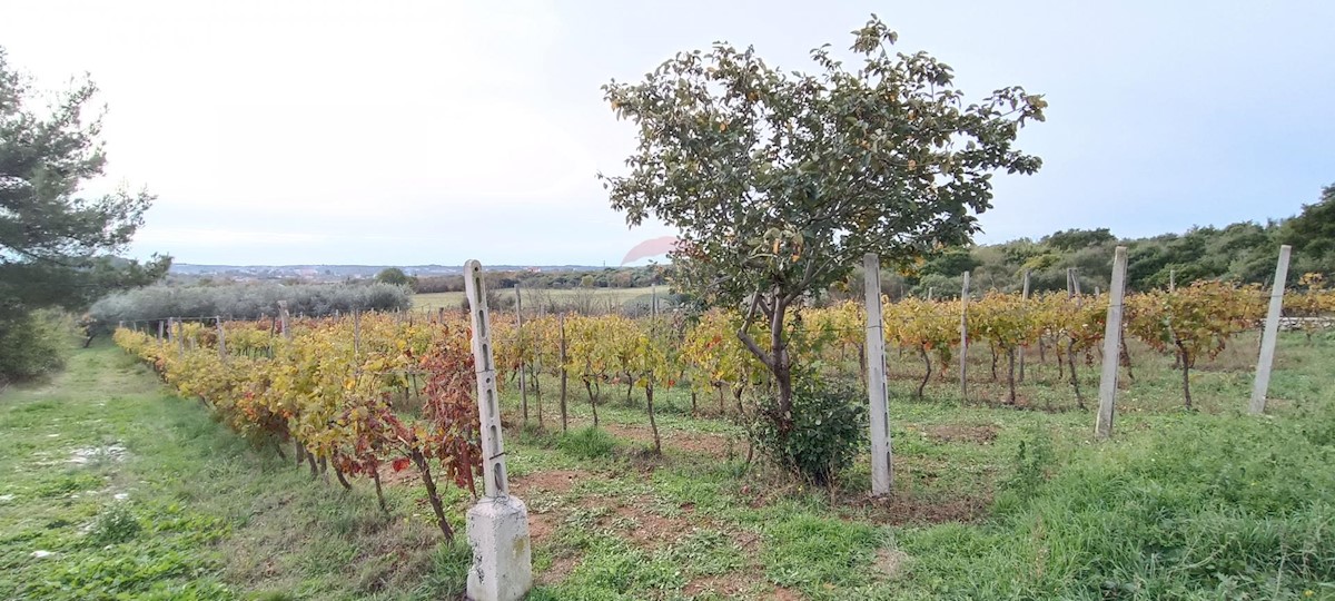 Land For sale - Istarska Pula - foto 4/6