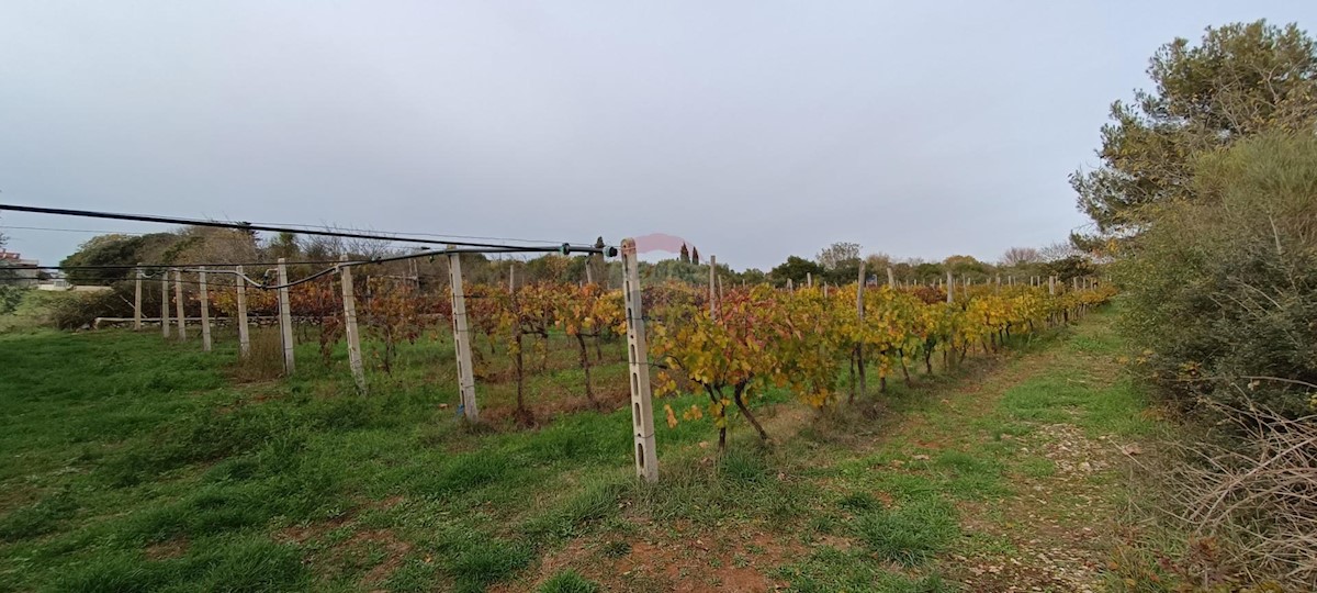 Land For sale - Istarska Pula - foto 5/6