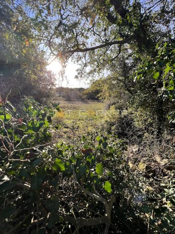 Terrain à vendre 1004 m² – Pješčana Uvala