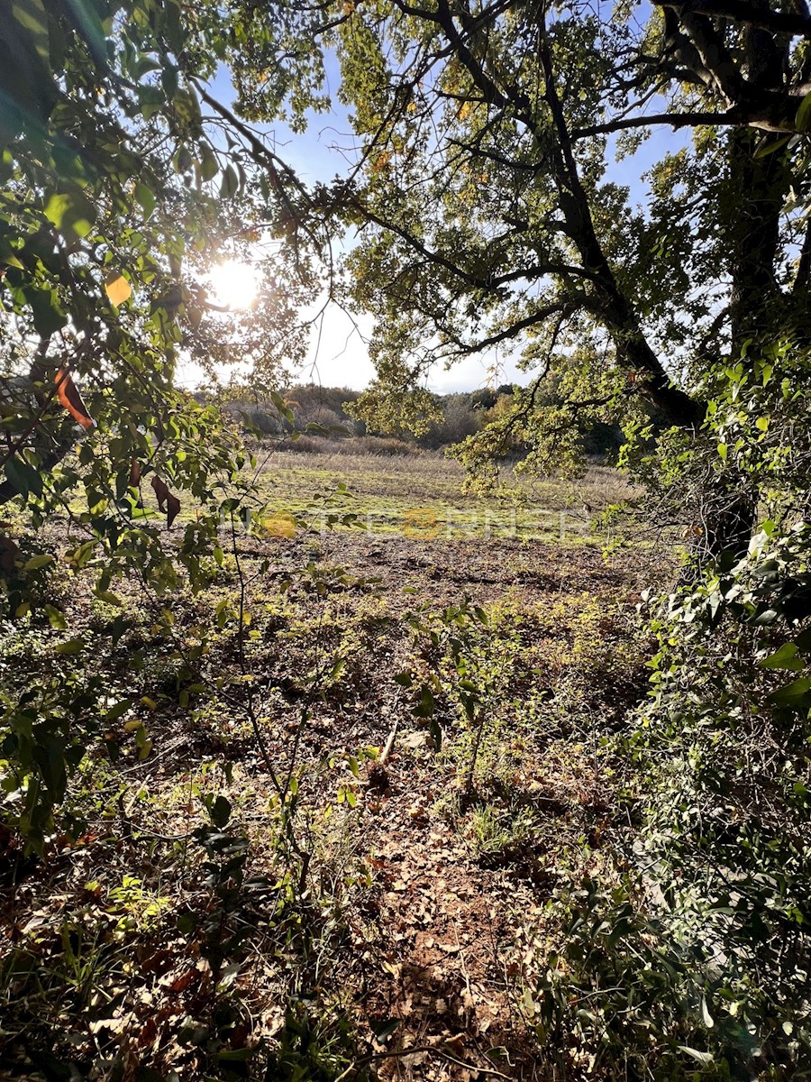 Parcela Na predaj - ISTARSKA  MEDULIN 