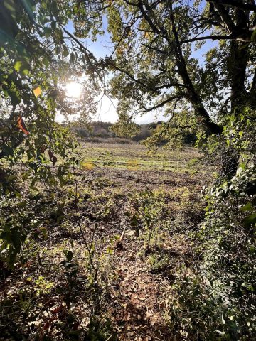 Terrain à vendre 764 m² – Pješčana Uvala