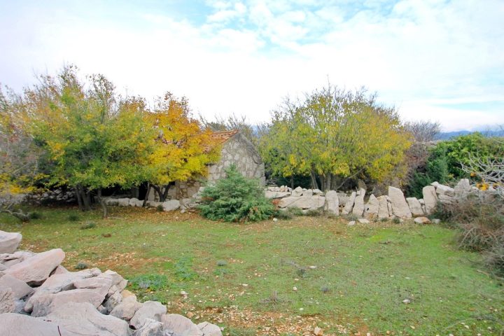 House for sale 41 m² – Soline