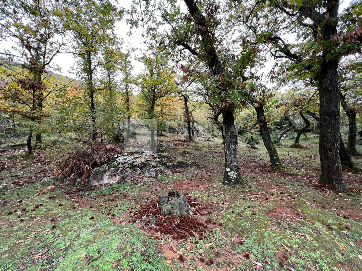 Pozemok Na predaj - PRIMORSKO-GORANSKA  OPATIJA 