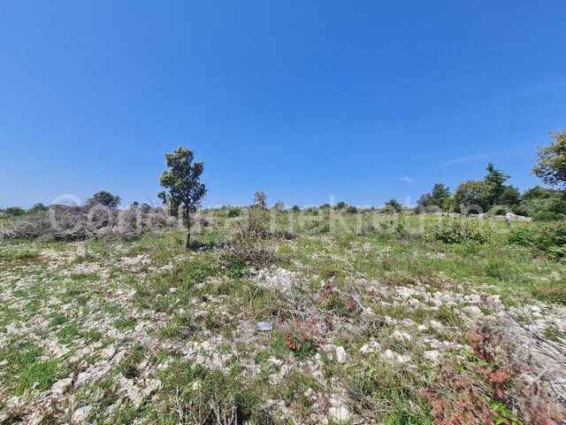 Land for sale 1109 m² – Vrsi