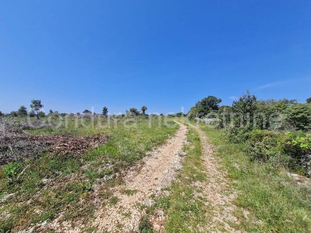 Parcela Naprodaj - Zadarska Vrsi - foto 3/3