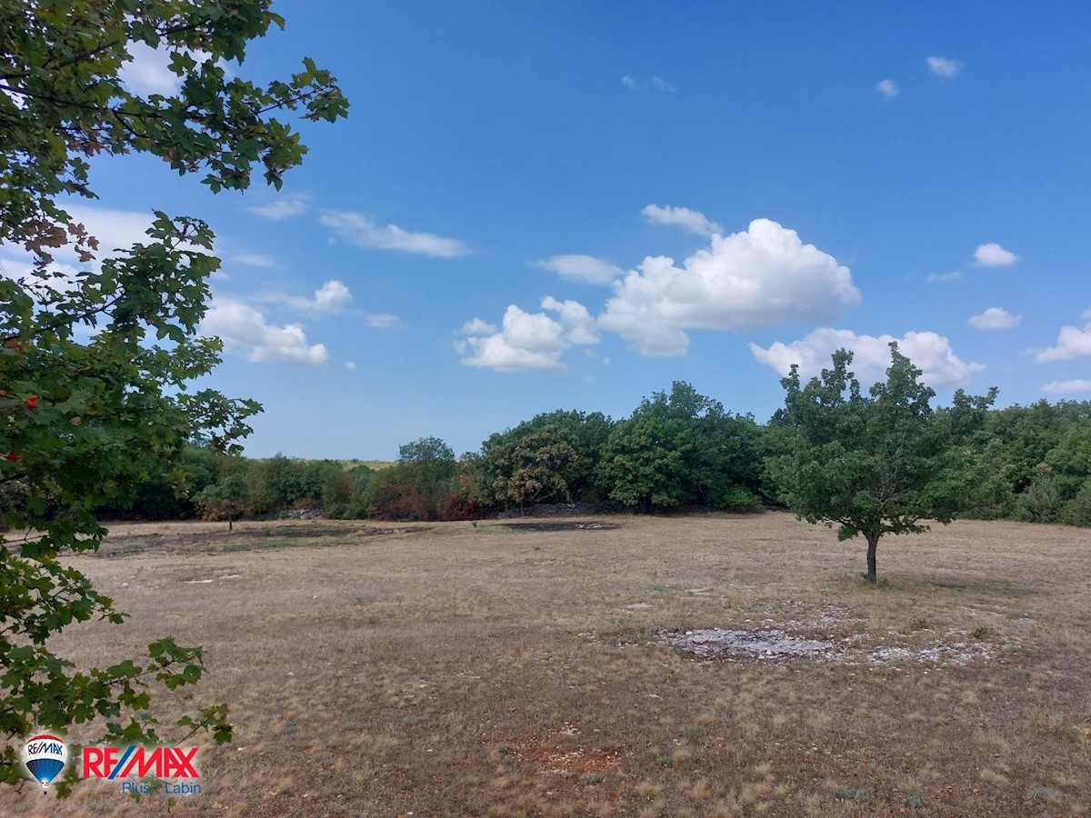 Terreno In vendita - ISTARSKA  SVETI LOVREČ 
