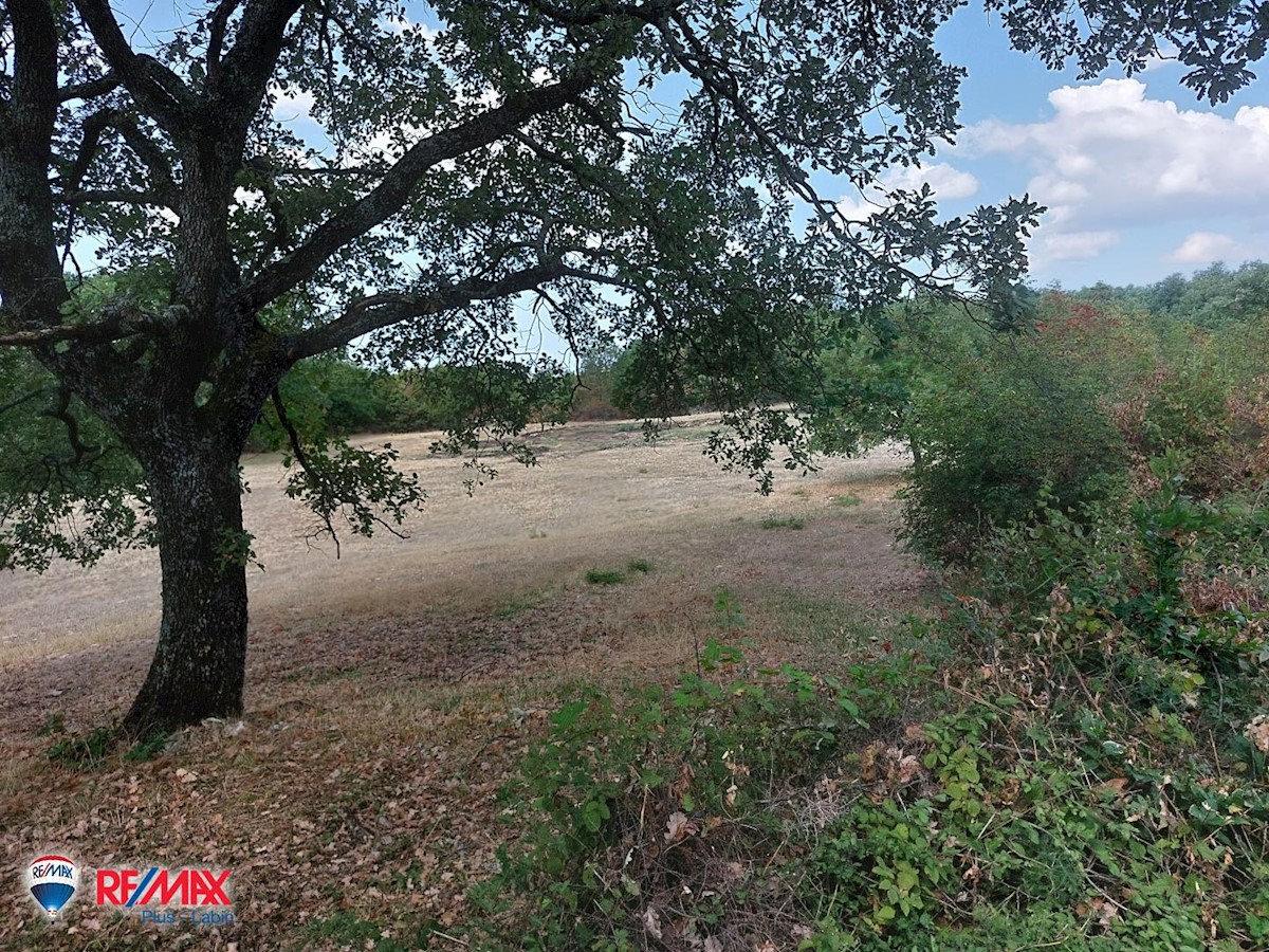 Terreno In vendita - ISTARSKA  SVETI LOVREČ 