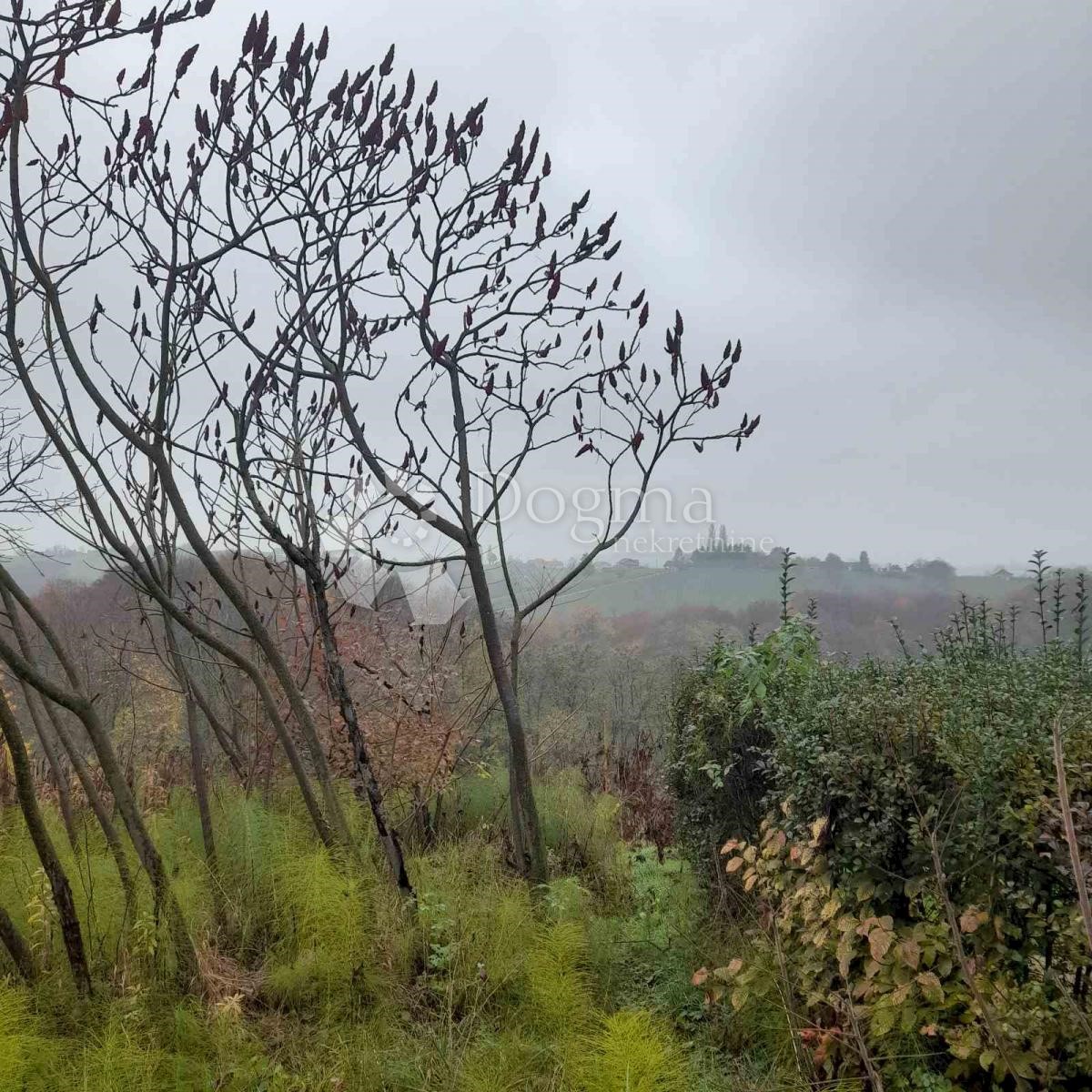 Terreno In vendita ŽELEZNA GORA